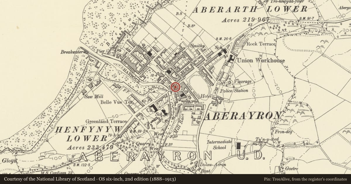 Ordnance Survey six-inch map, 2nd edition (1888–1913) covering the location of 7 Bridge Street, Aberaeron, Ceredigion, with a pin at the register's coordinates