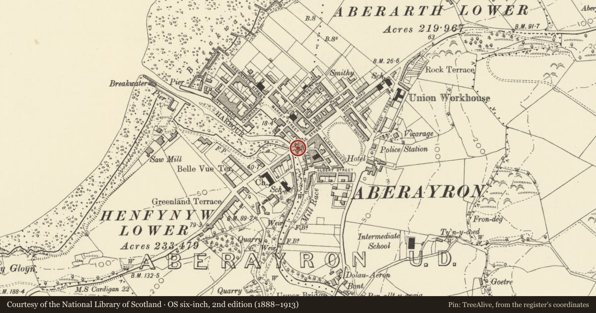 Ordnance Survey six-inch map, 2nd edition (1888–1913) covering the location of Bradford House including J W Thomas & Son, Aberaeron, Ceredigion, with a pin at the register's coordinates
