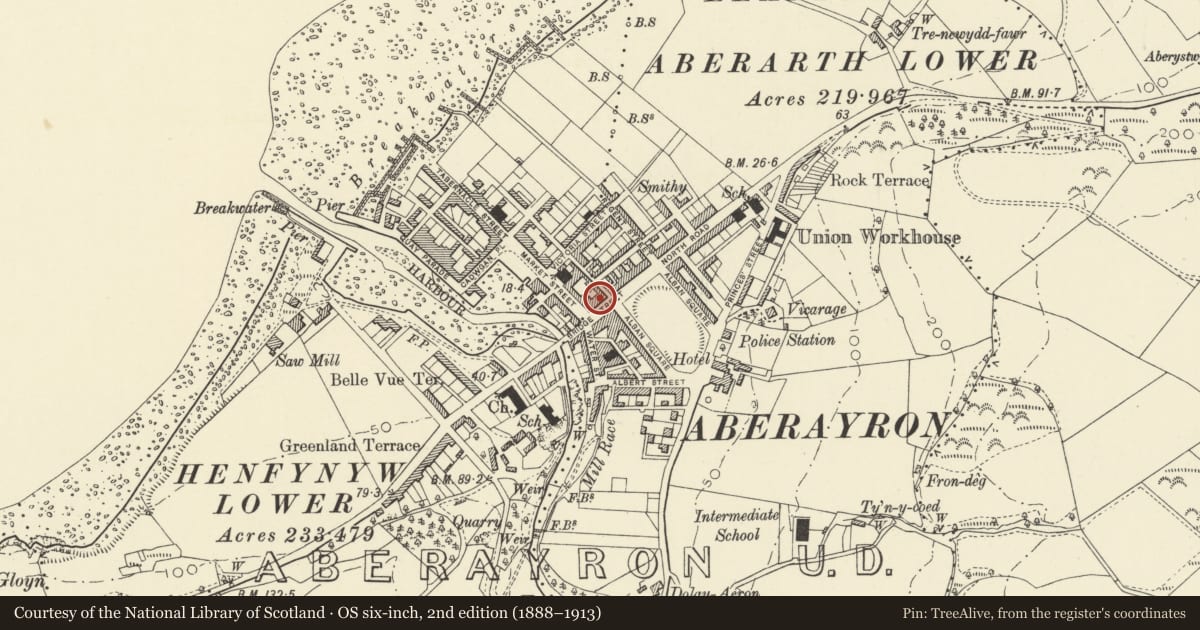 Ordnance Survey six-inch map, 2nd edition (1888–1913) covering the location of Albion House including the Welsh Wool Shop and the Albion Cake Shop, Aberaeron, Ceredigion, with a pin at the register's coordinates