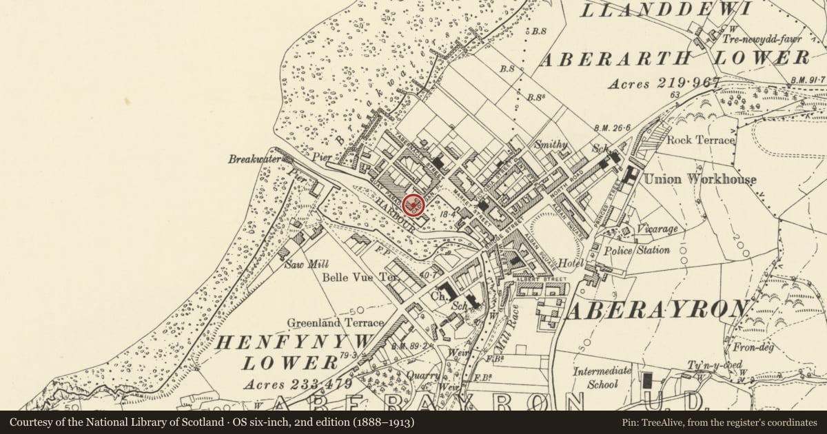Ordnance Survey six-inch map, 2nd edition (1888–1913) covering the location of Menival, Aberaeron, Ceredigion, with a pin at the register's coordinates