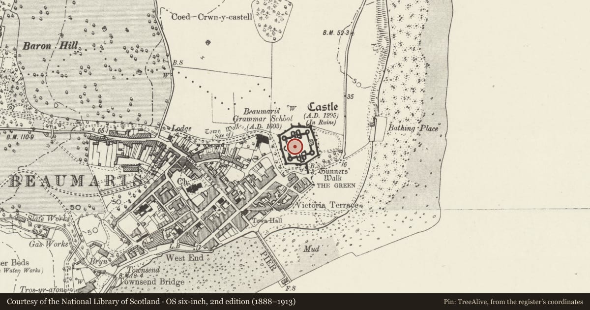 Ordnance Survey six-inch map, 2nd edition (1888–1913) covering the location of Beaumaris Castle, Isle of Anglesey, with a pin at the register's coordinates
