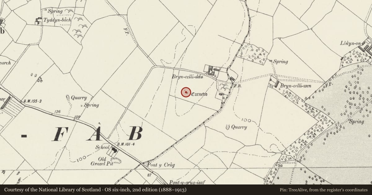 Ordnance Survey six-inch map, 2nd edition (1888–1913) covering the location of Bryn Celli Ddu Chambered Tomb, Llanddaniel Fab, Isle of Anglesey, with a pin at the register's coordinates