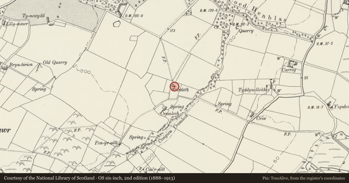 Ordnance Survey six-inch map, 2nd edition (1888–1913) covering the location of Henblas Burial Chamber, Llangristiolus, Isle of Anglesey, with a pin at the register's coordinates