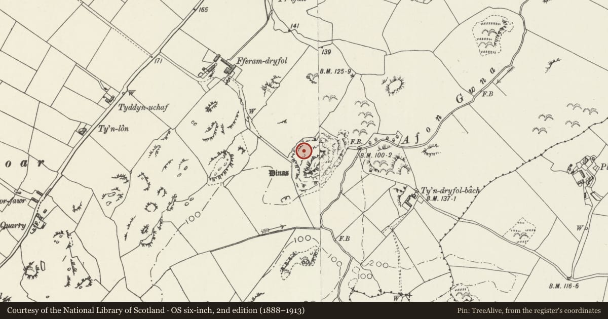 Ordnance Survey six-inch map, 2nd edition (1888–1913) covering the location of Din Dryfol Chambered Tomb, Aberffraw, Isle of Anglesey, with a pin at the register's coordinates