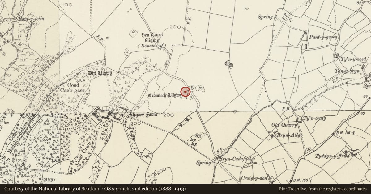 Ordnance Survey six-inch map, 2nd edition (1888–1913) covering the location of Llugwy Chambered Tomb, Moelfre, Isle of Anglesey, with a pin at the register's coordinates