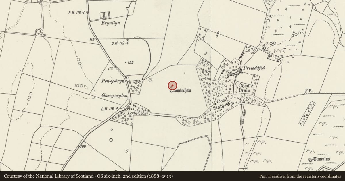 Ordnance Survey six-inch map, 2nd edition (1888–1913) covering the location of Presaddfed Chambered Tomb, Bodedern, Isle of Anglesey, with a pin at the register's coordinates