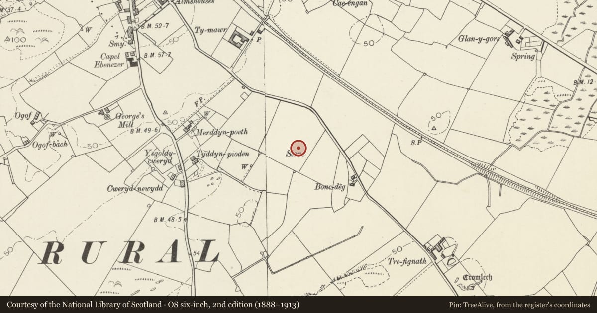Ordnance Survey six-inch map, 2nd edition (1888–1913) covering the location of Tŷ Mawr Standing Stone, Holyhead, Isle of Anglesey, with a pin at the register's coordinates