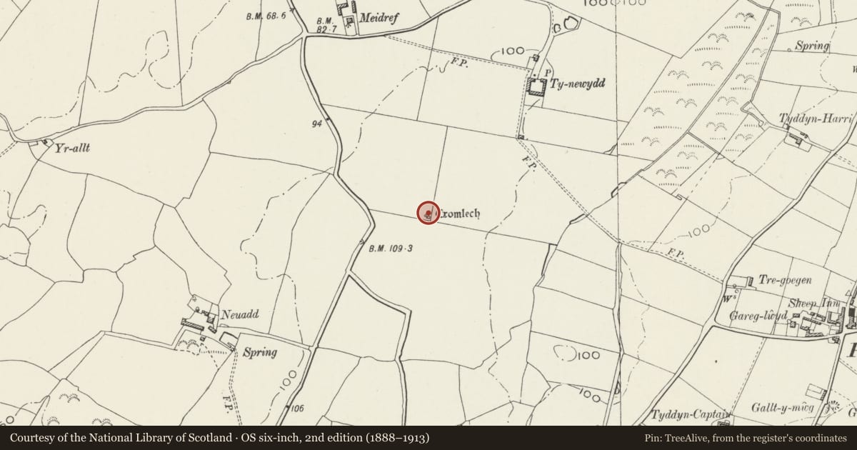 Ordnance Survey six-inch map, 2nd edition (1888–1913) covering the location of Tŷ Newydd Chambered Tomb, Llanfaelog, Isle of Anglesey, with a pin at the register's coordinates