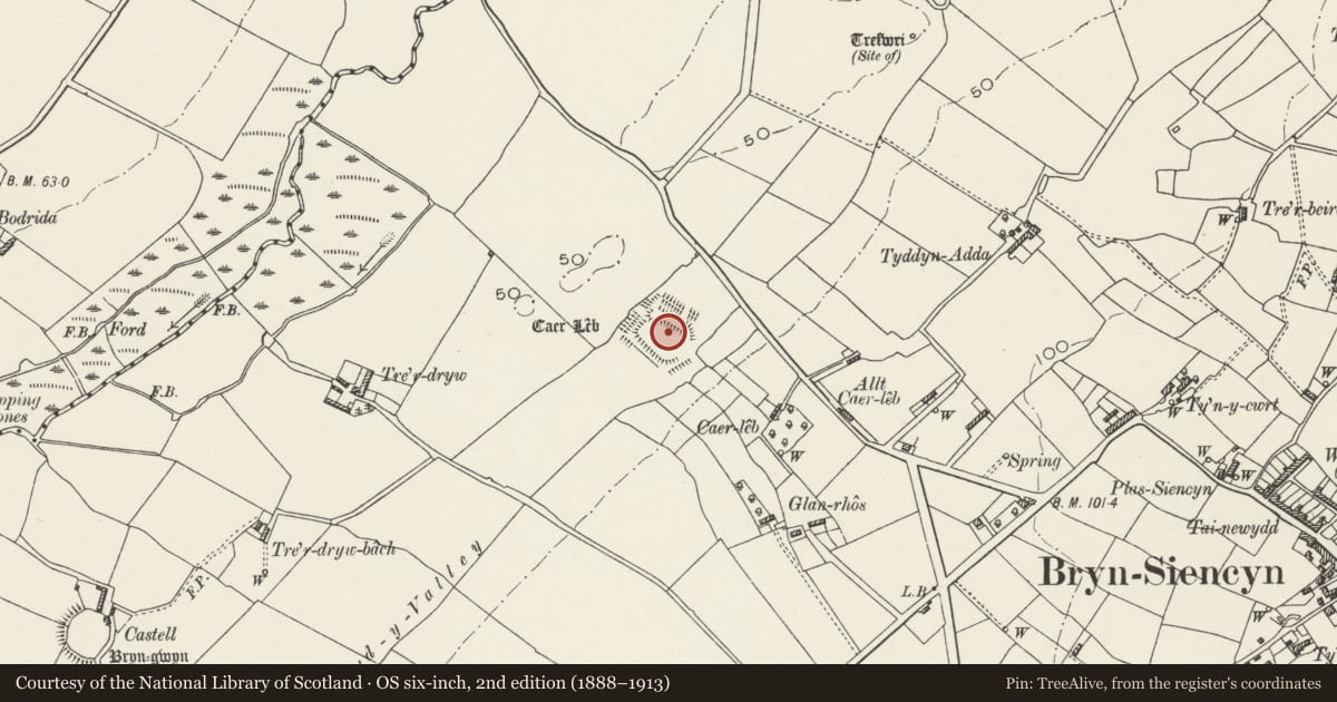 Ordnance Survey six-inch map, 2nd edition (1888–1913) covering the location of Caer Lêb Romano-British Farm, Llanidan, Isle of Anglesey, with a pin at the register's coordinates