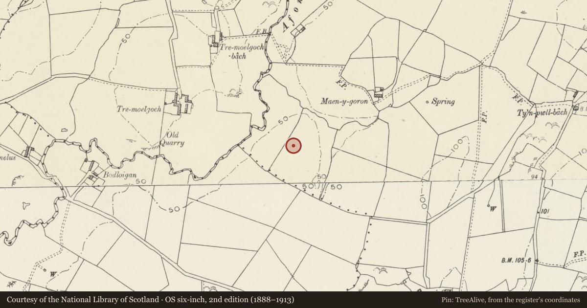 Ordnance Survey six-inch map, 2nd edition (1888–1913) covering the location of Tregwehelydd Standing Stone, Tref Alaw, Isle of Anglesey, with a pin at the register's coordinates