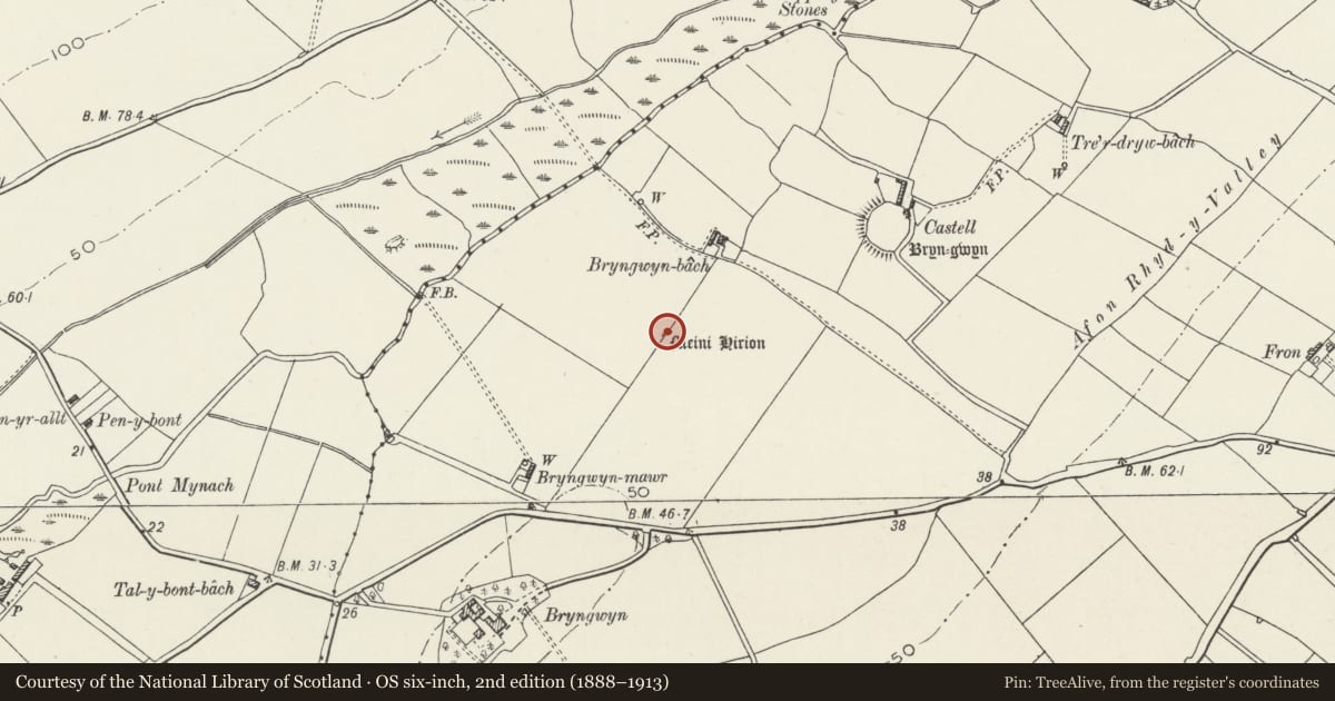 Ordnance Survey six-inch map, 2nd edition (1888–1913) covering the location of Bryngwyn Standing Stones, Llanidan, Isle of Anglesey, with a pin at the register's coordinates
