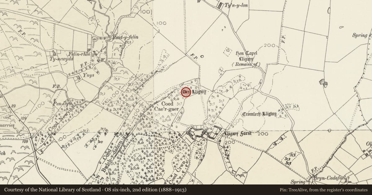 Ordnance Survey six-inch map, 2nd edition (1888–1913) covering the location of Din Llugwy Romano-British Village, Moelfre, Isle of Anglesey, with a pin at the register's coordinates