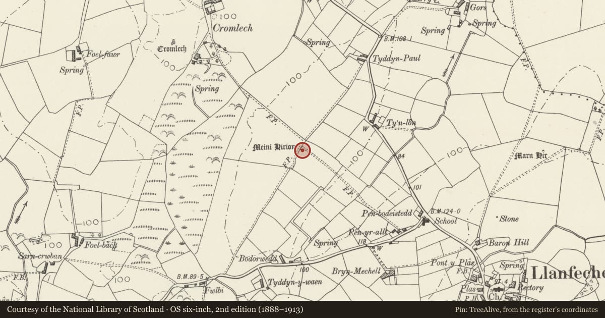 Ordnance Survey six-inch map, 2nd edition (1888–1913) covering the location of Bodorwedd Standing Stones, Mechell, Isle of Anglesey, with a pin at the register's coordinates