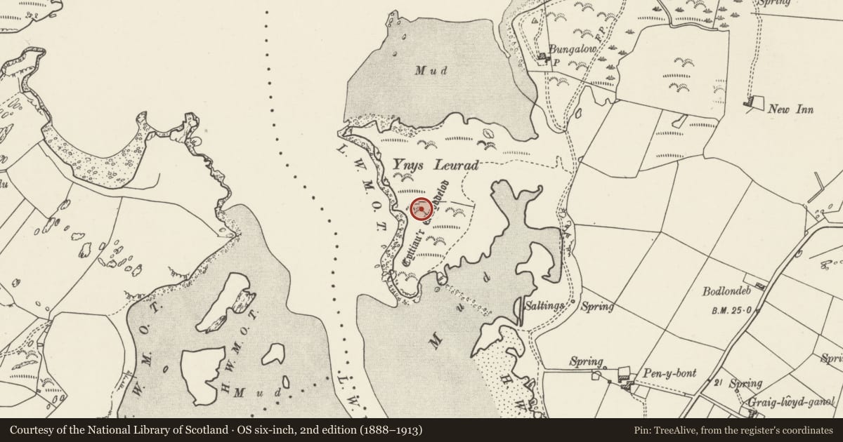 Ordnance Survey six-inch map, 2nd edition (1888–1913) covering the location of Ynys Leurad Hut Circles, Valley, Isle of Anglesey, with a pin at the register's coordinates