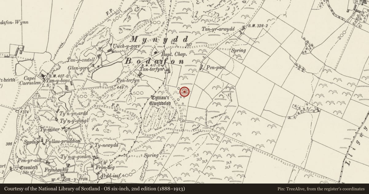 Ordnance Survey six-inch map, 2nd edition (1888–1913) covering the location of Bodafon Mountain Hut Groups, Moelfre, Isle of Anglesey, with a pin at the register's coordinates