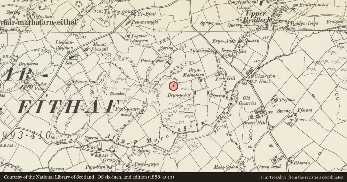 Ordnance Survey six-inch map, 2nd edition (1888–1913) covering the location of Pant-y-Saer Hut Circles, Llanfair-Mathafarn-Eithaf, Isle of Anglesey, with a pin at the register's coordinates