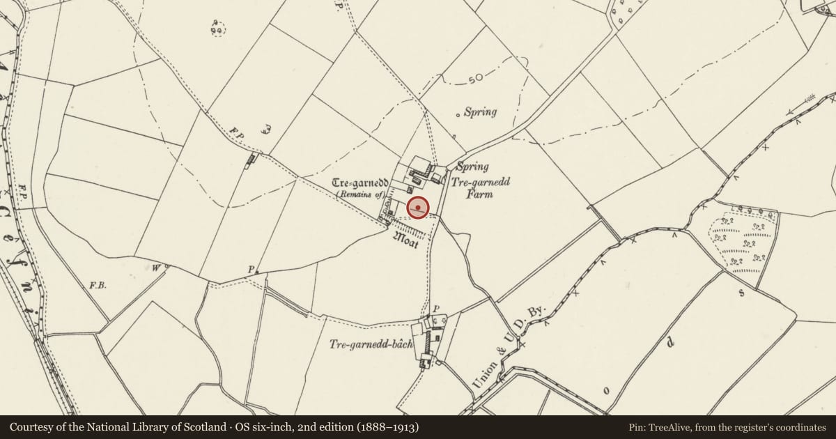 Ordnance Survey six-inch map, 2nd edition (1888–1913) covering the location of Tre-Garnedd Moated Site, Llangefni, Isle of Anglesey, with a pin at the register's coordinates