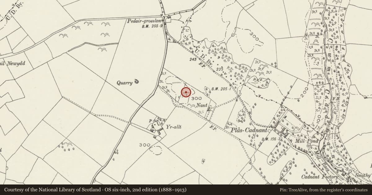 Ordnance Survey six-inch map, 2nd edition (1888–1913) covering the location of Dinas Cadnant Hillfort, Menai Bridge, Isle of Anglesey, with a pin at the register's coordinates