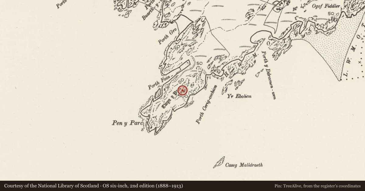 Ordnance Survey six-inch map, 2nd edition (1888–1913) covering the location of Tywyn-y-Parc Promontory Fort, Bodorgan, Isle of Anglesey, with a pin at the register's coordinates