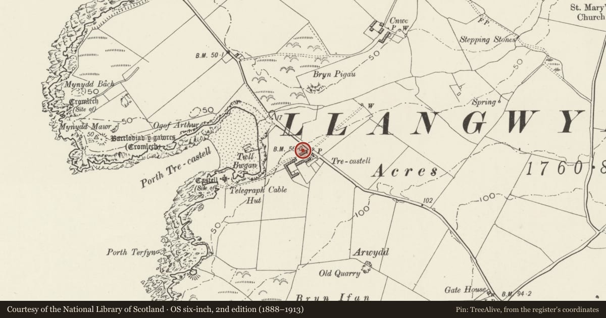 Ordnance Survey six-inch map, 2nd edition (1888–1913) covering the location of Pen-Sieri Inscribed Stone, Aberffraw, Isle of Anglesey, with a pin at the register's coordinates