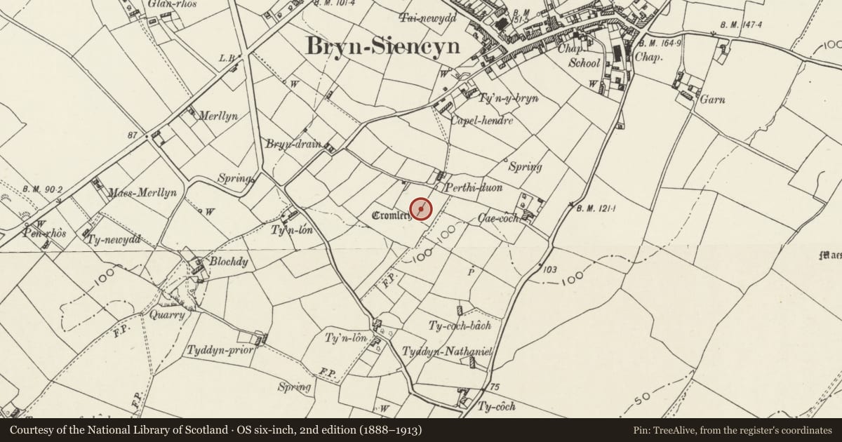 Ordnance Survey six-inch map, 2nd edition (1888–1913) covering the location of Perthi-Duon Burial Chamber, Llanidan, Isle of Anglesey, with a pin at the register's coordinates