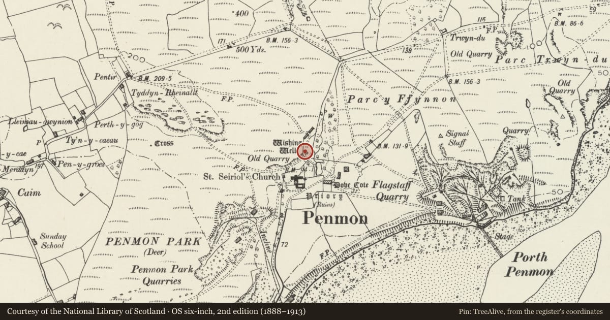 Ordnance Survey six-inch map, 2nd edition (1888–1913) covering the location of St Seiriol's Well, Llangoed, Isle of Anglesey, with a pin at the register's coordinates