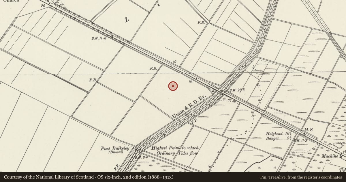 Ordnance Survey six-inch map, 2nd edition (1888–1913) covering the location of Mynwent y Llwyn, Llangristiolus, Isle of Anglesey, with a pin at the register's coordinates