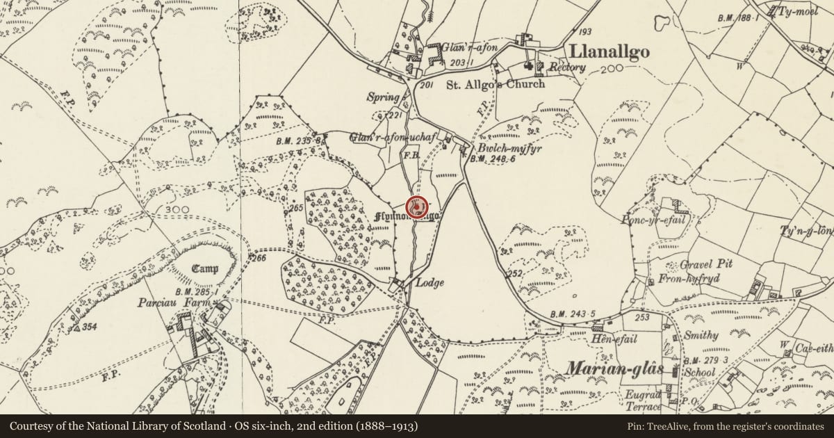Ordnance Survey six-inch map, 2nd edition (1888–1913) covering the location of Ffynnon Allgo, Moelfre, Isle of Anglesey, with a pin at the register's coordinates