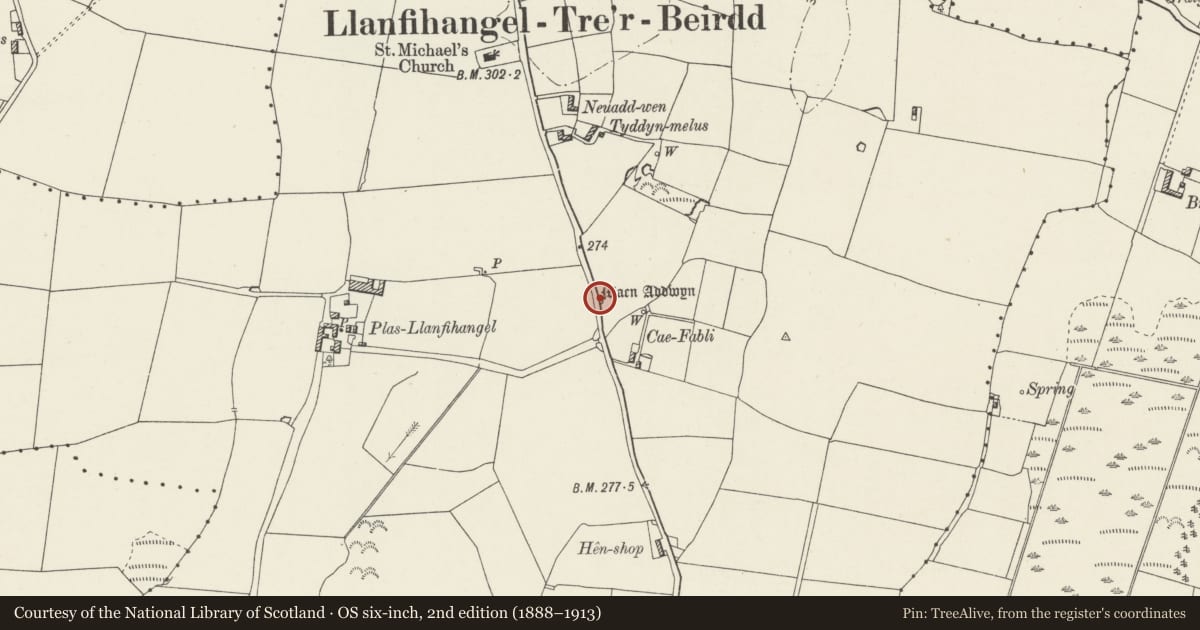 Ordnance Survey six-inch map, 2nd edition (1888–1913) covering the location of Maen Addwyn, Llanddyfnan, Isle of Anglesey, with a pin at the register's coordinates