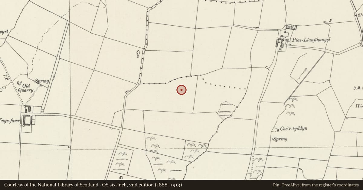Ordnance Survey six-inch map, 2nd edition (1888–1913) covering the location of Llech Golman, Llannerch-y-Medd, Isle of Anglesey, with a pin at the register's coordinates
