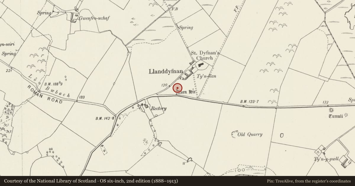 Ordnance Survey six-inch map, 2nd edition (1888–1913) covering the location of Llanddyfnan Standing Stone, Isle of Anglesey, with a pin at the register's coordinates