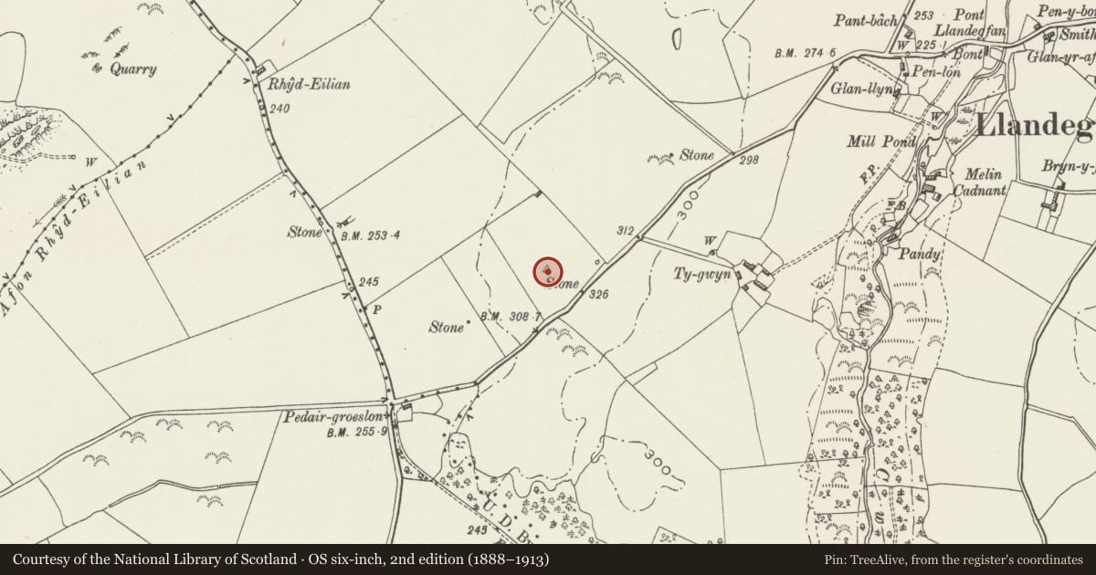 Ordnance Survey six-inch map, 2nd edition (1888–1913) covering the location of Ty-Wyn Standing Stone, Cwm Cadnant, Isle of Anglesey, with a pin at the register's coordinates
