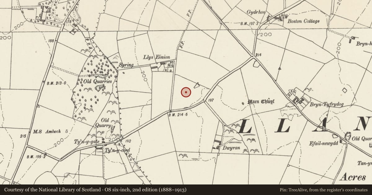Ordnance Survey six-inch map, 2nd edition (1888–1913) covering the location of Llys Einion Standing Stone, Rhosybol, Isle of Anglesey, with a pin at the register's coordinates