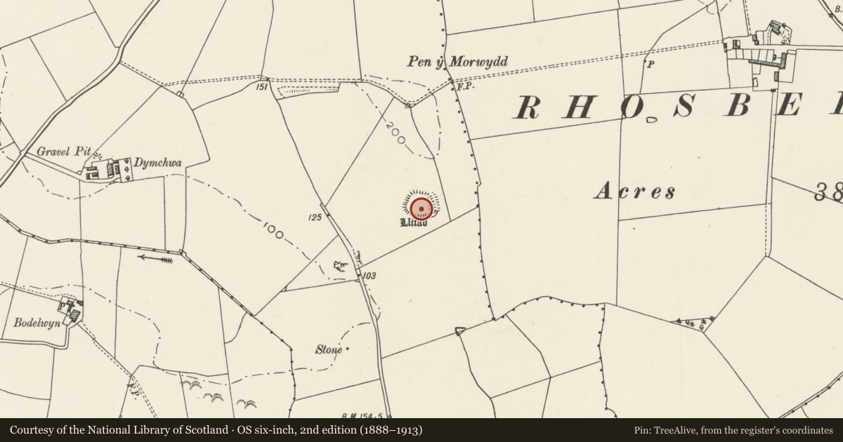 Ordnance Survey six-inch map, 2nd edition (1888–1913) covering the location of Llifad, Carreglefn, Mechell, Isle of Anglesey, with a pin at the register's coordinates