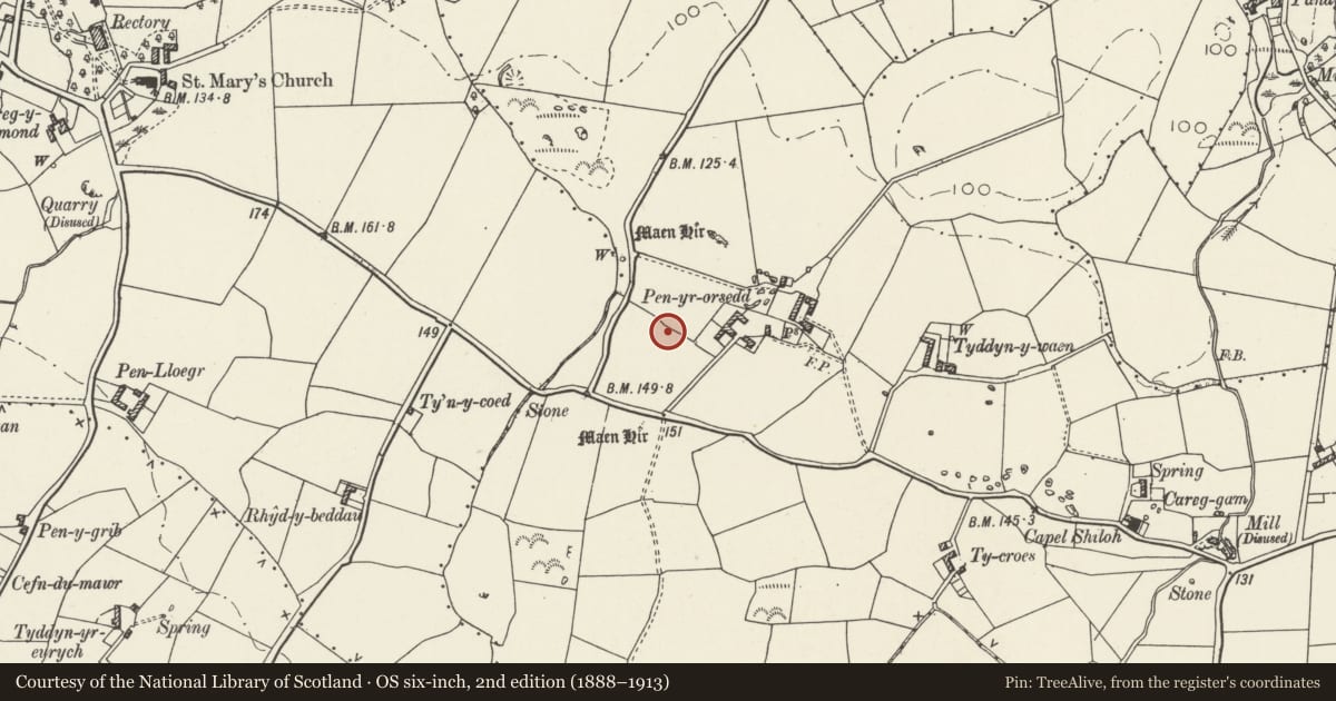 Ordnance Survey six-inch map, 2nd edition (1888–1913) covering the location of Pen-yr-Orsedd Standing Stones, Cylch-y-Garn, Isle of Anglesey, with a pin at the register's coordinates