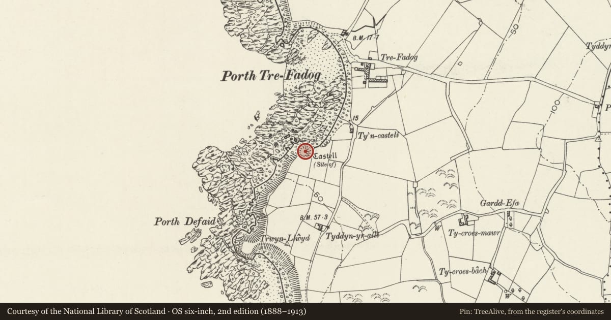 Ordnance Survey six-inch map, 2nd edition (1888–1913) covering the location of Castell Near Tre-Fadog, Llanfaethlu, Isle of Anglesey, with a pin at the register's coordinates