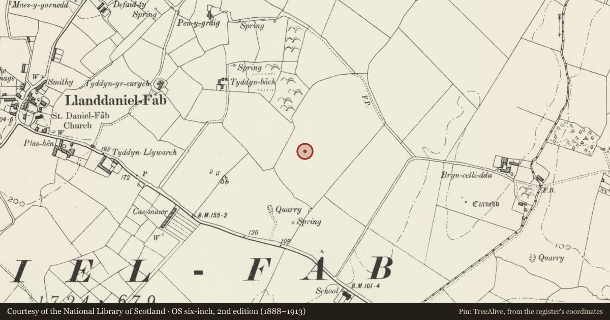 Ordnance Survey six-inch map, 2nd edition (1888–1913) covering the location of Tyddyn-Bach Standing Stone, Llanddaniel Fab, Isle of Anglesey, with a pin at the register's coordinates
