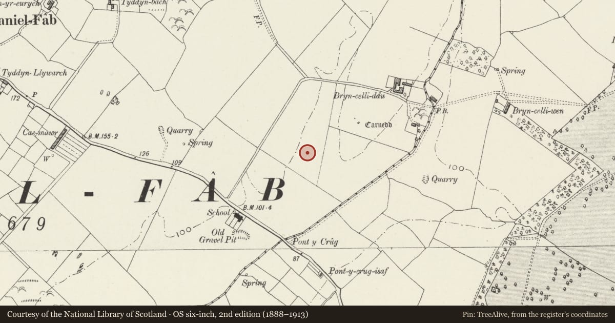 Ordnance Survey six-inch map, 2nd edition (1888–1913) covering the location of Bryn-Celli-Ddu Standing Stone, Llanddaniel Fab, Isle of Anglesey, with a pin at the register's coordinates