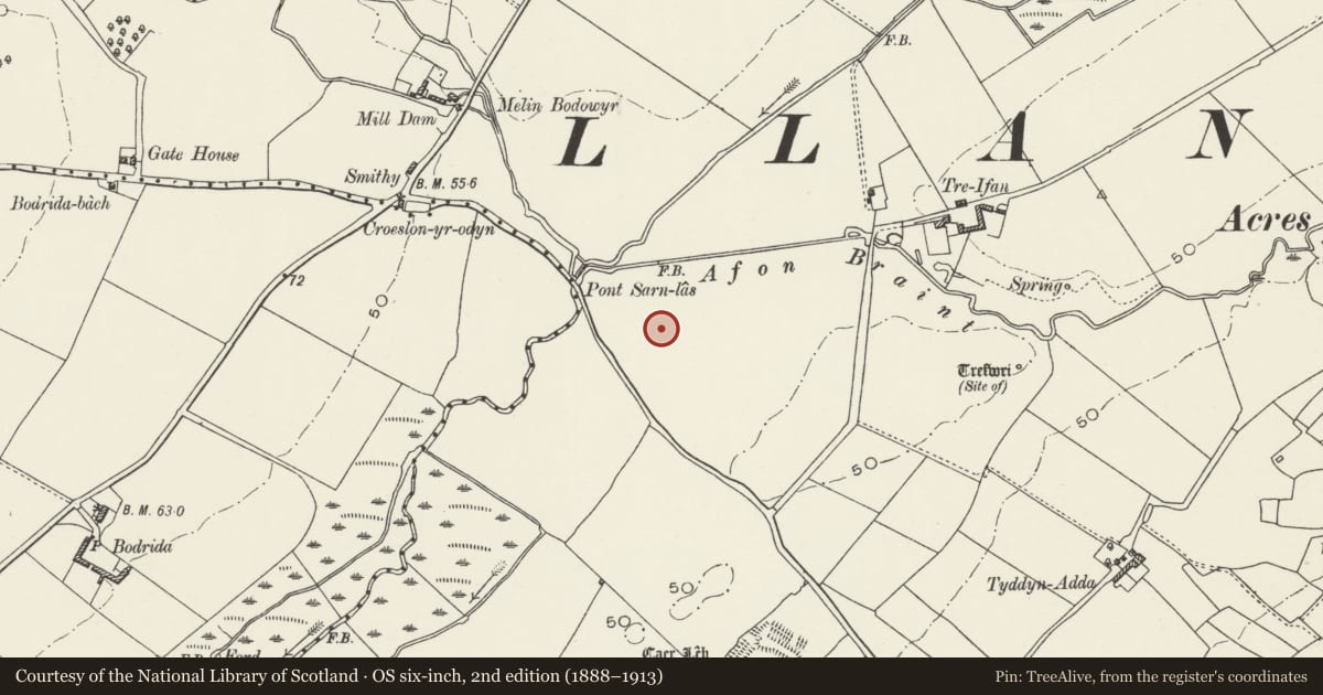 Ordnance Survey six-inch map, 2nd edition (1888–1913) covering the location of Pont Sarn-Las Hut Group, Llanidan, Isle of Anglesey, with a pin at the register's coordinates
