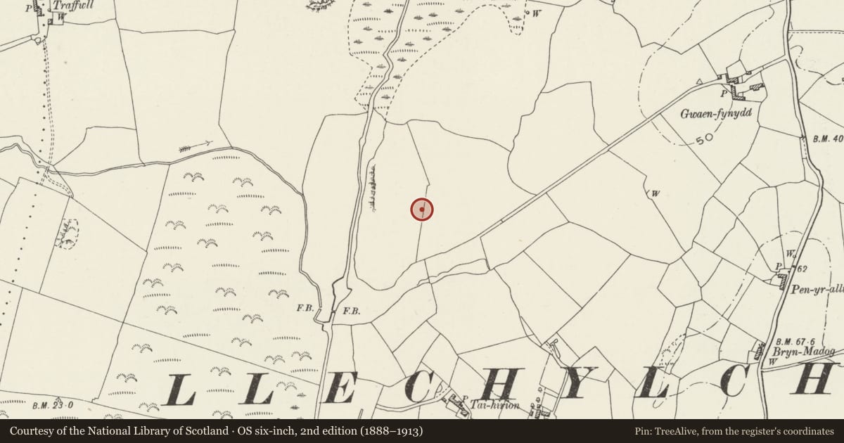 Ordnance Survey six-inch map, 2nd edition (1888–1913) covering the location of Castellor Hut Group, Bryngwran, Isle of Anglesey, with a pin at the register's coordinates