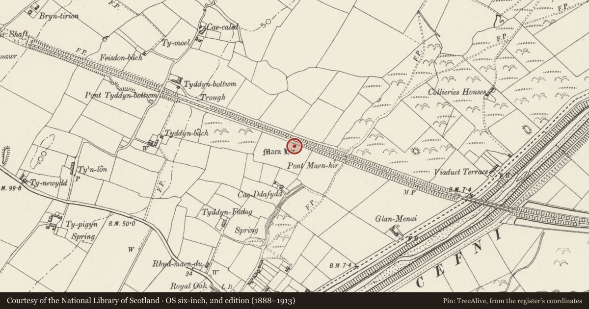 Ordnance Survey six-inch map, 2nd edition (1888–1913) covering the location of Malltraeth Yard Standing Stone, Bodorgan, Isle of Anglesey, with a pin at the register's coordinates