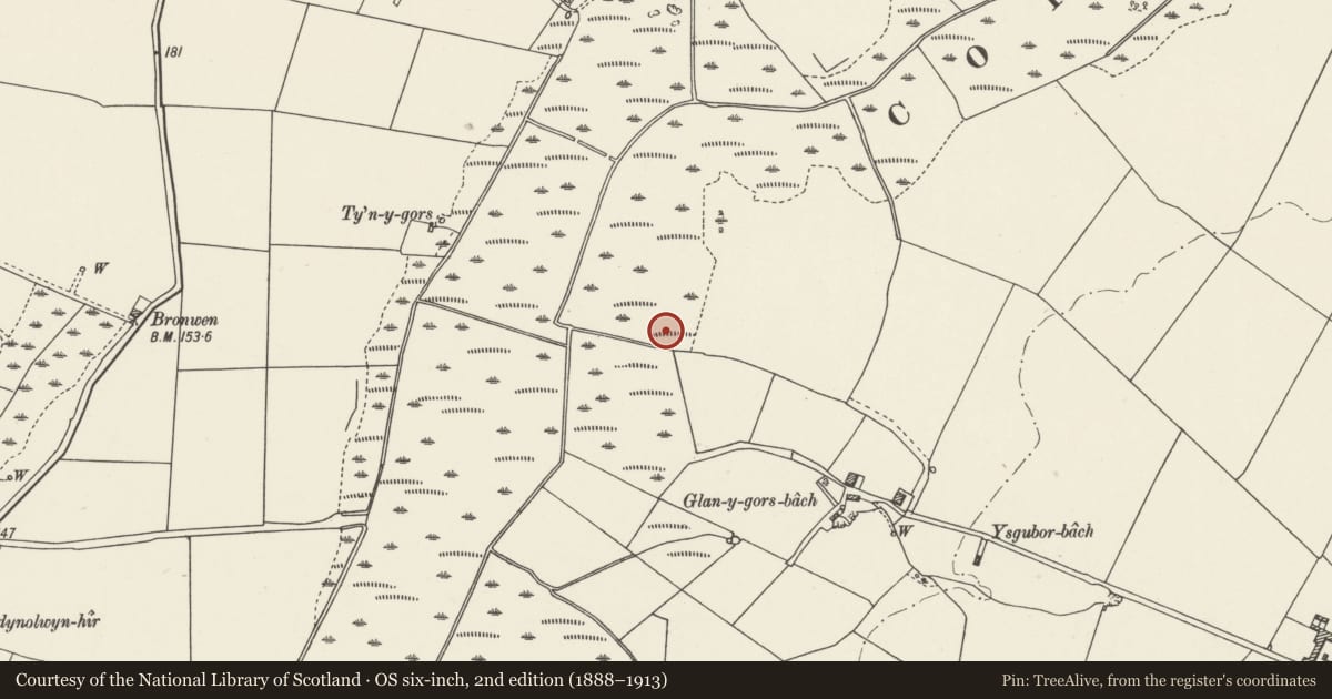 Ordnance Survey six-inch map, 2nd edition (1888–1913) covering the location of Cors-y-Bol Round Barrow, Llannerch-y-Medd, Isle of Anglesey, with a pin at the register's coordinates