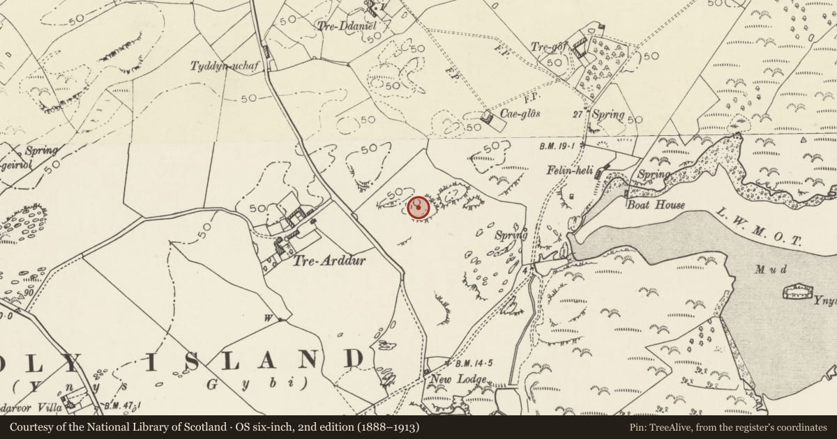 Ordnance Survey six-inch map, 2nd edition (1888–1913) covering the location of Tre-Arddur Hut Group, Trearddur, Isle of Anglesey, with a pin at the register's coordinates