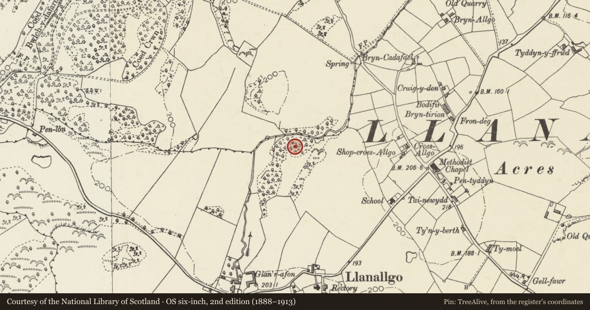 Ordnance Survey six-inch map, 2nd edition (1888–1913) covering the location of Hut Group N of Glan'r Afon, Moelfre, Isle of Anglesey, with a pin at the register's coordinates
