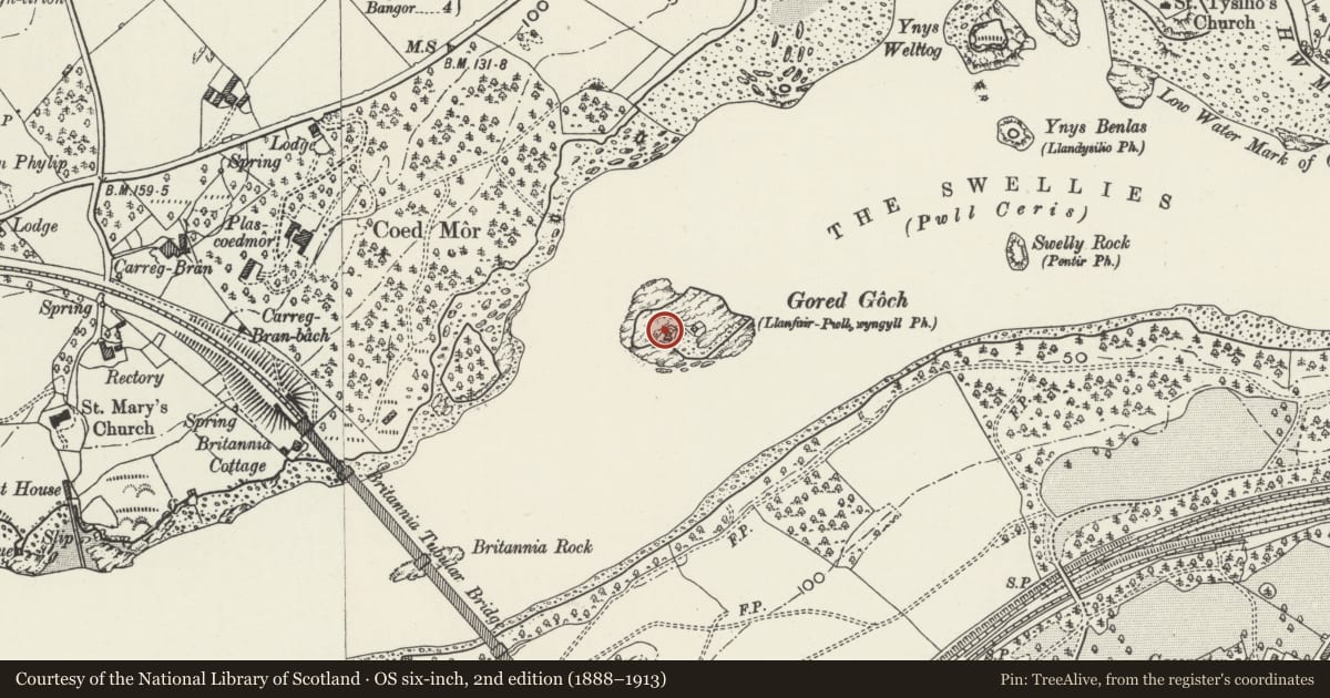 Ordnance Survey six-inch map, 2nd edition (1888–1913) covering the location of North Weir and Smoke Tower, Ynys Gorad Goch, Llanfair Pwllgwyngyll, Isle of Anglesey, with a pin at the register's coordinates