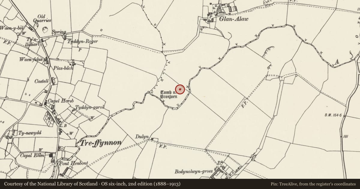 Ordnance Survey six-inch map, 2nd edition (1888–1913) covering the location of Bedd Branwen Round Cairn, Tref Alaw, Isle of Anglesey, with a pin at the register's coordinates