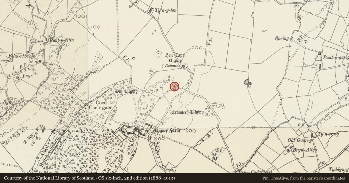 Ordnance Survey six-inch map, 2nd edition (1888–1913) covering the location of Parc Salmon Hut Group, Moelfre, Isle of Anglesey, with a pin at the register's coordinates