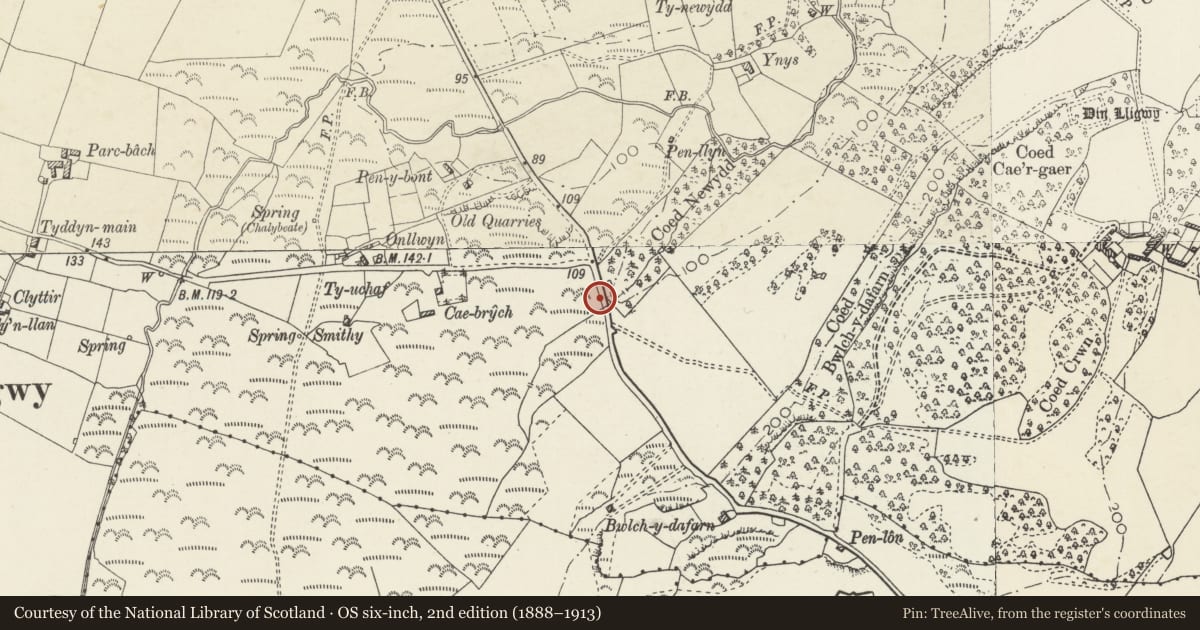 Ordnance Survey six-inch map, 2nd edition (1888–1913) covering the location of Coed Newydd Boiling Mounds & Smelting Hearth, Moelfre, Isle of Anglesey, with a pin at the register's coordinates