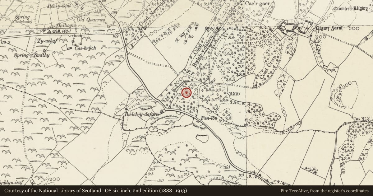 Ordnance Survey six-inch map, 2nd edition (1888–1913) covering the location of Bwlch-y-Dafarn Enclosed Hut Group, Moelfre, Isle of Anglesey, with a pin at the register's coordinates