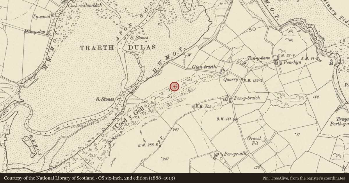 Ordnance Survey six-inch map, 2nd edition (1888–1913) covering the location of Ogof Arian Cave, Moelfre, Isle of Anglesey, with a pin at the register's coordinates
